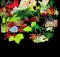 Jacques World by Gail Goodstein