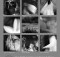 Dreamscape Photography Exhibition Allison Rufrano