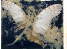 Sandi Daniel Flying Owls @ Stu-Art Supplies