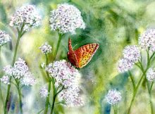 Watercolor painting by Elinor Carbone @ Stu-Art Supplies