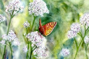 Watercolor painting by Elinor Carbone @ Stu-Art Supplies