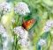 Watercolor painting by Elinor Carbone @ Stu-Art Supplies